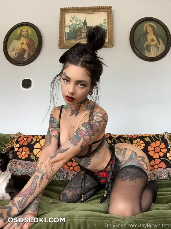 Taylor White - 2