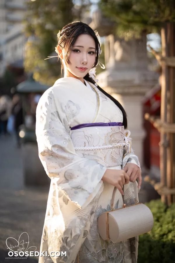 Original 2024 New year Silver Kimono - 2