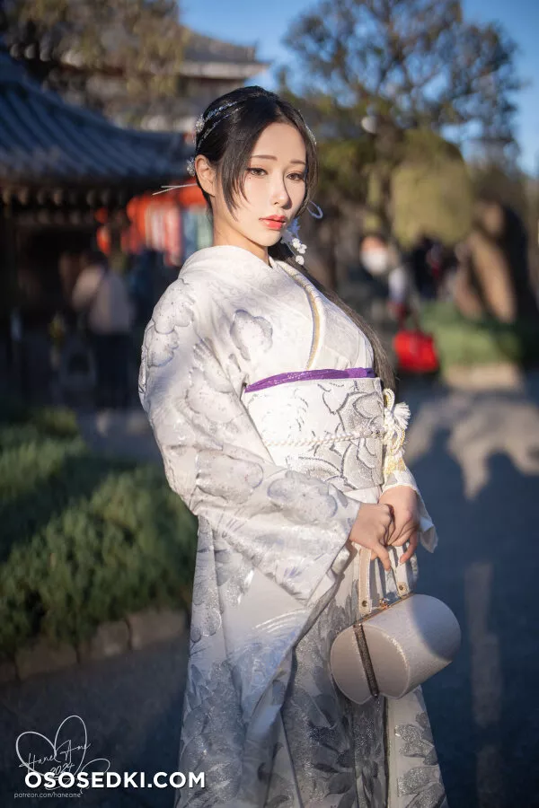 Original 2024 New year Silver Kimono - 4