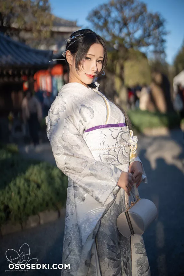 Original 2024 New year Silver Kimono - 5