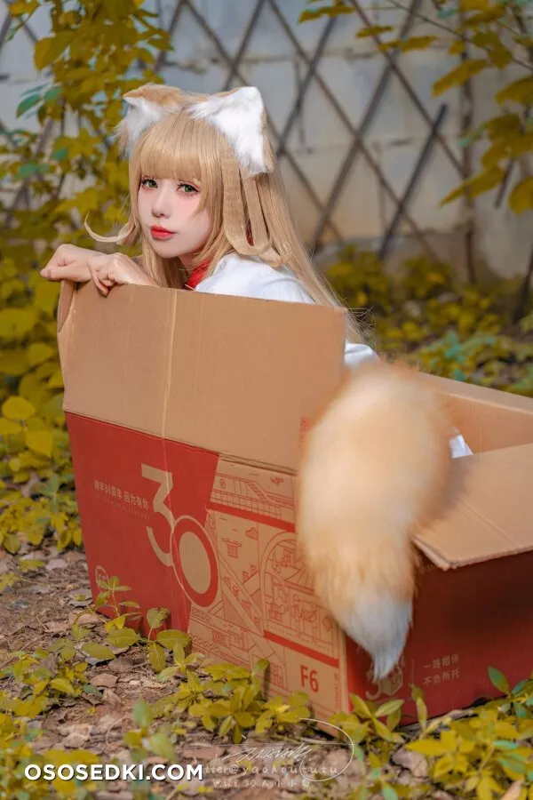 Yaokoututu | Niantutu - Kinako -  - 2