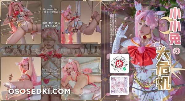 Yaokoututu | Niantutu - Tsukino - Sailor Moon | Bishoujo Senshi Sailor Moon - 1