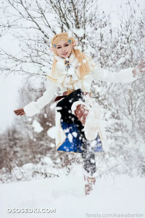 Zirael Rem - Princess Zelda - The Legend Of Zelda - 5