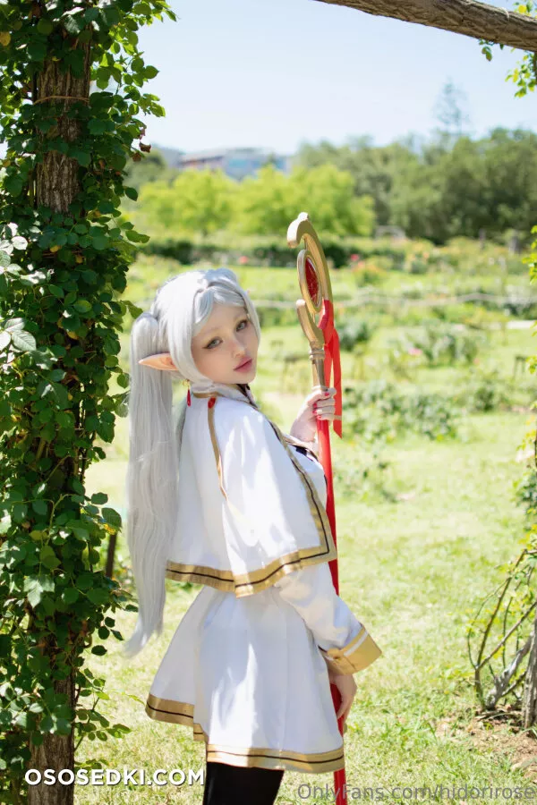 Hidori Rose - Frieren - Sousou No Frieren | Frieren Beyond Journeys End - 3