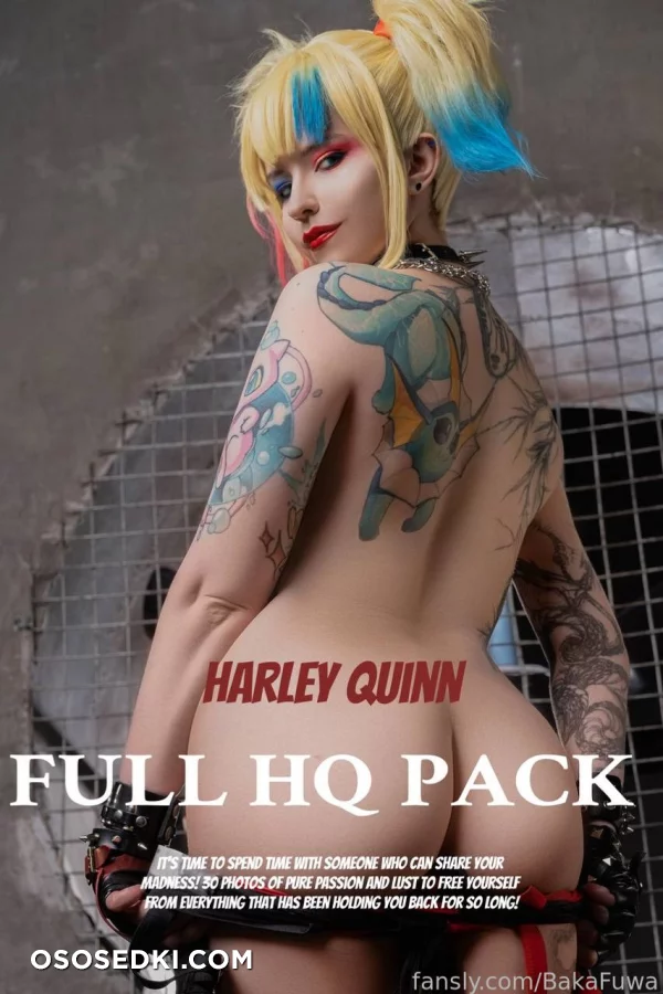 Fuwa Baka - Harley Quinn - Batman - 1