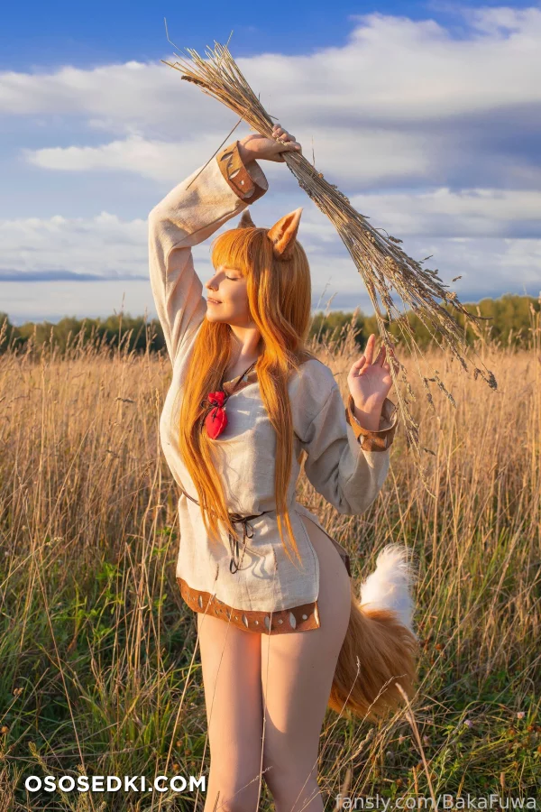 Baka Fuwa - Holo - Spice And Wolf | Ookami To Koushinryou - 2