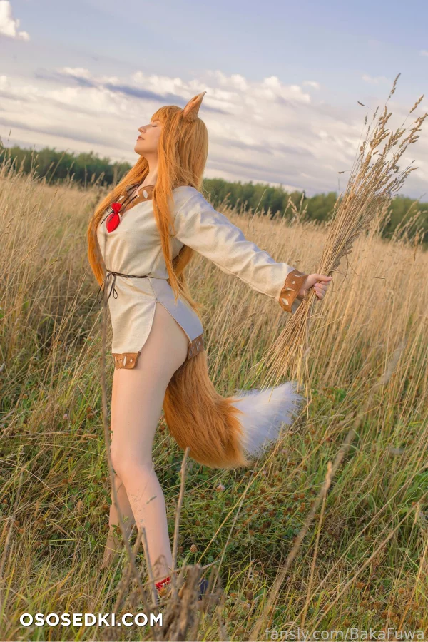 Baka Fuwa - Holo - Spice And Wolf | Ookami To Koushinryou - 4