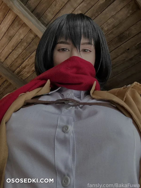 Fuwa Baka - Mikasa Ackerman - Shingeki No Kyojin | Attack On Titan - 1