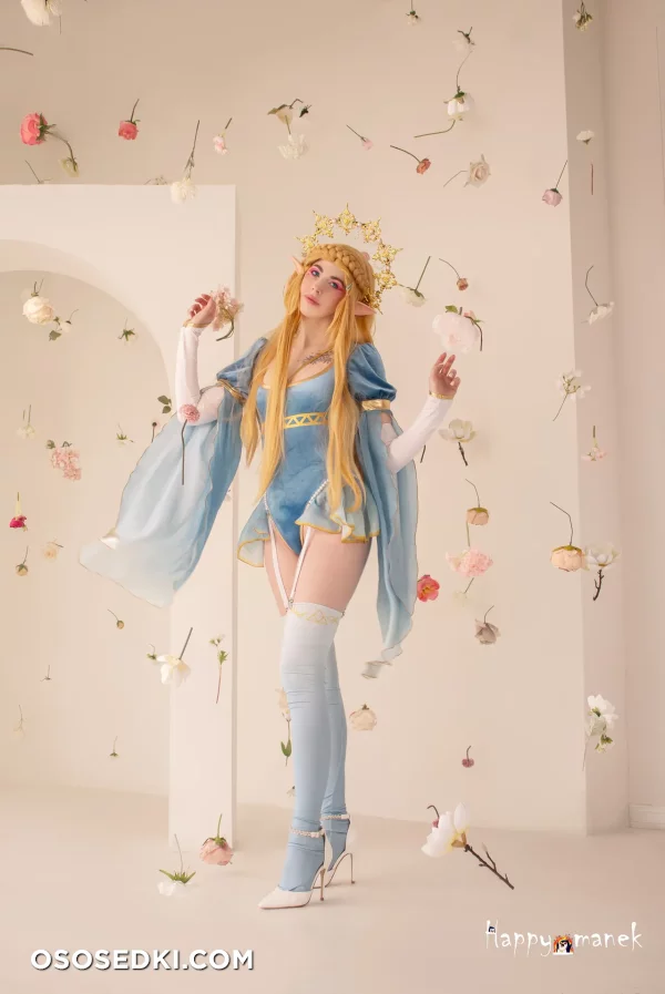 Happy Manek - Princess Zelda - The Legend Of Zelda - 1