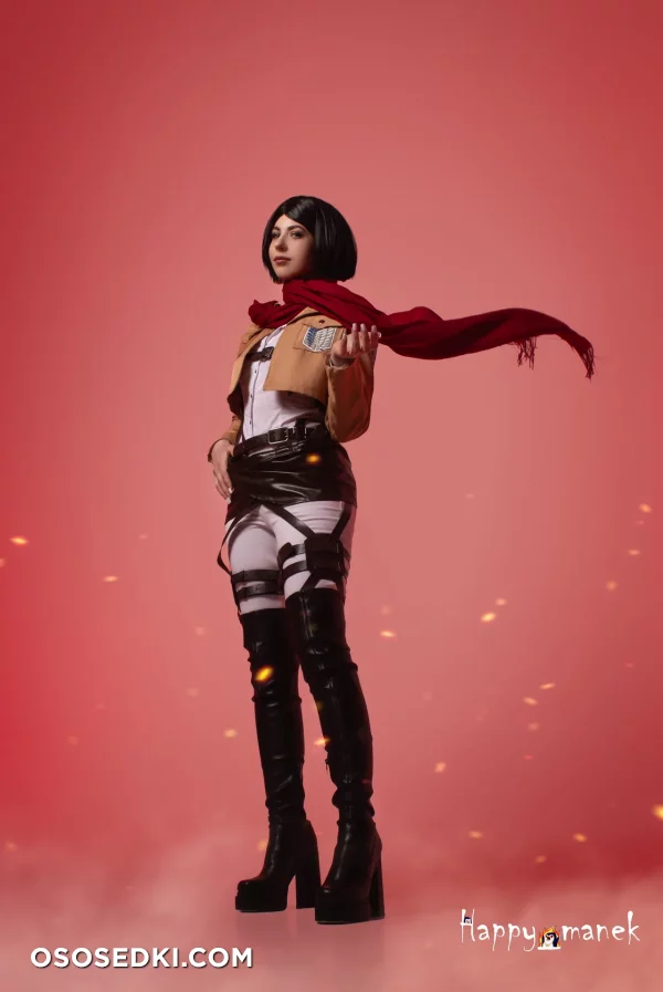 Happy Manek - Mikasa Ackerman - Shingeki No Kyojin | Attack On Titan - 1