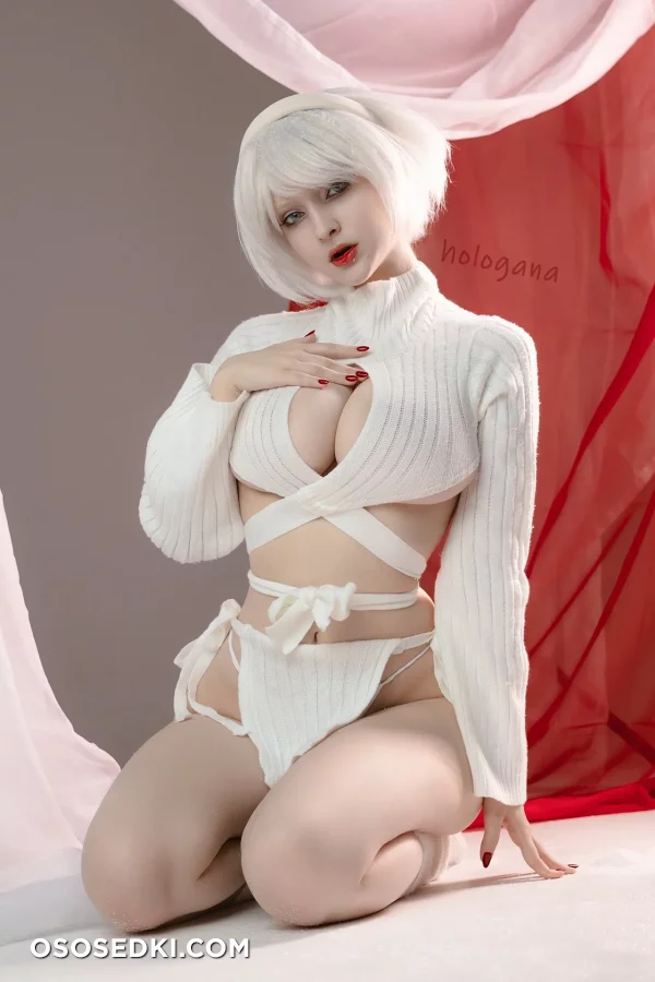 Hologana - 2b - Nier Automata - 4