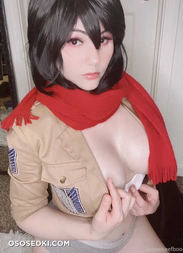 Kobaebeefboo - Mikasa Ackerman - Shingeki No Kyojin | Attack On Titan - 1