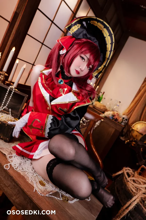 Sally Dorasnow - Houshou Marine - Hololive - 4