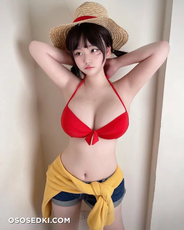 Saizneko - Monkey D. Luffy - One Piece - 2
