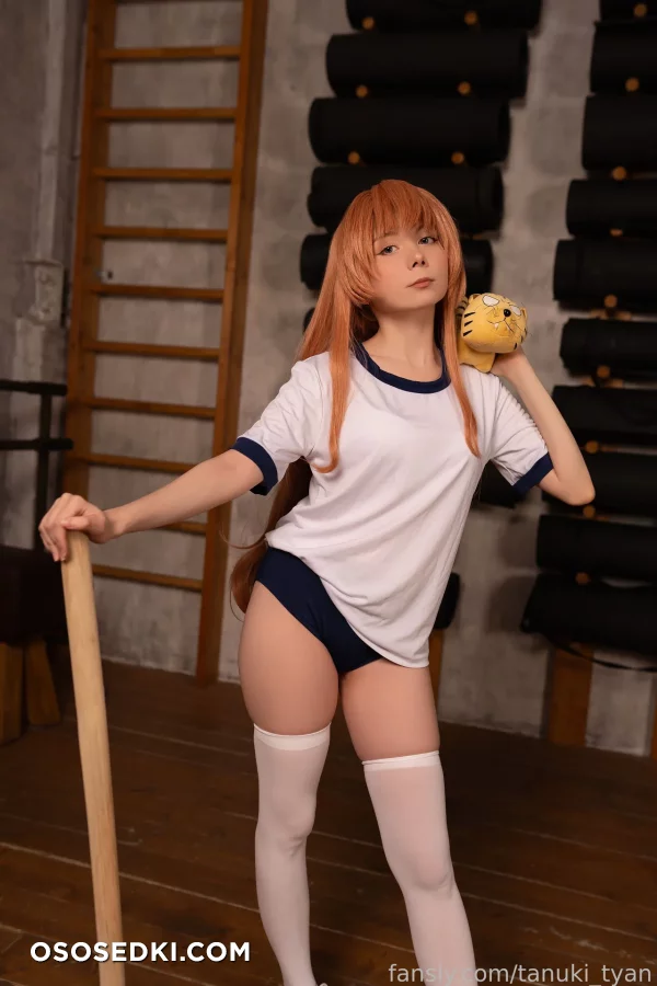 Tanuki Tyan - Taiga Aisaka - Toradora - 1