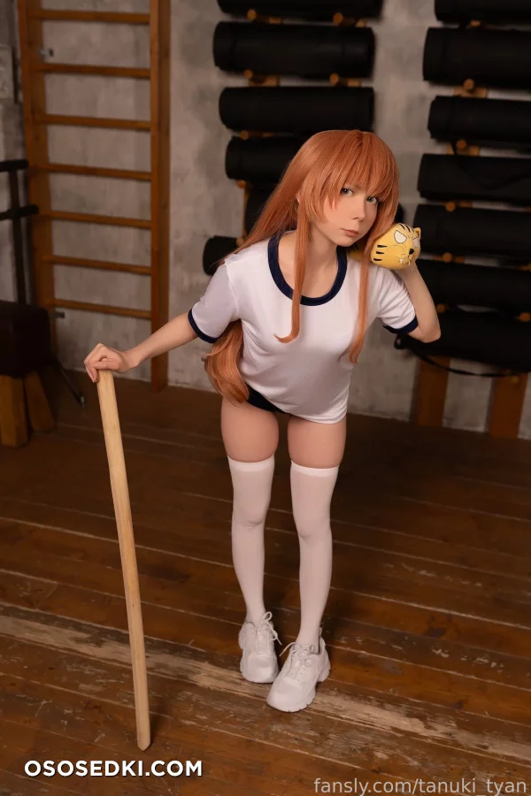 Tanuki Tyan - Taiga Aisaka - Toradora - 3