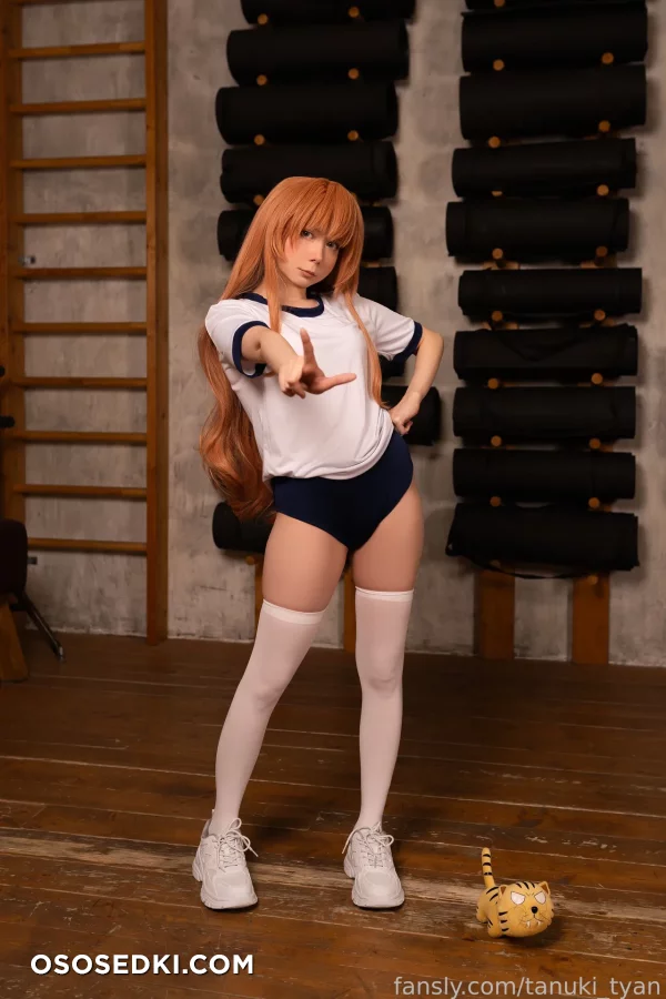 Tanuki Tyan - Taiga Aisaka - Toradora - 4