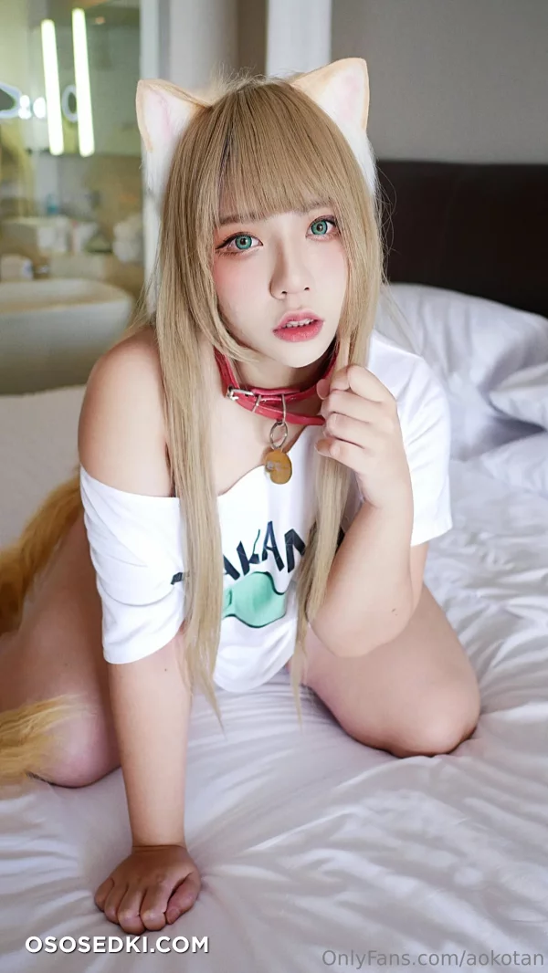 Aokotan - Kinako - 3