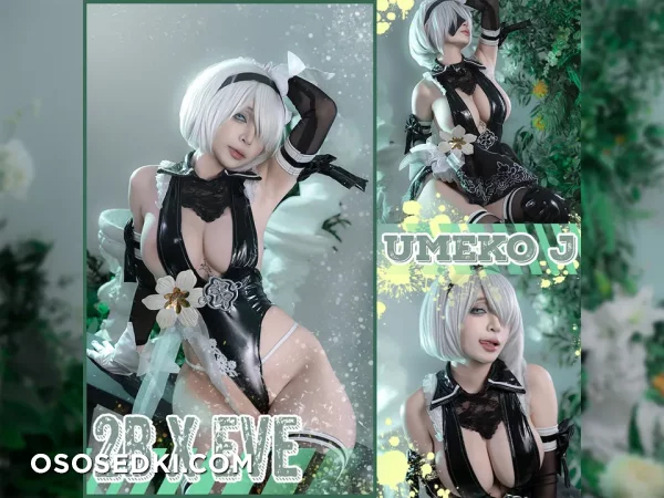 Umeko J - 2b - Nier Automata - 1