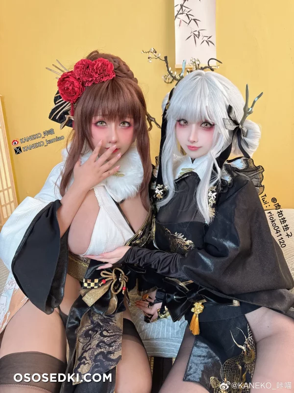 Kaneko-kamiao - Blanc - Goddess Of Victory Nikke - 3