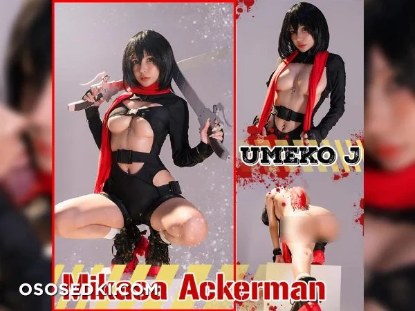 Umeko J - Mikasa Ackerman - Shingeki No Kyojin | Attack On Titan - 1