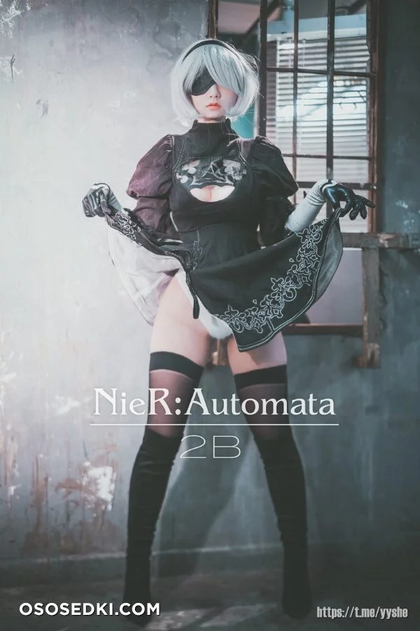 Jenny (정제니) - NieR Automata 2B - 1