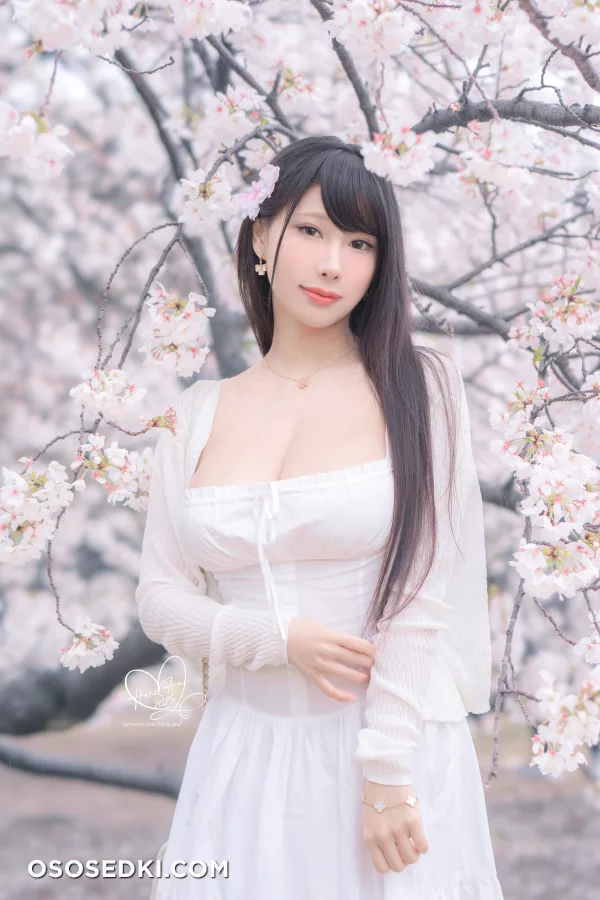 [HaneAme雨波] 原创 雨樱下的约定 - 4