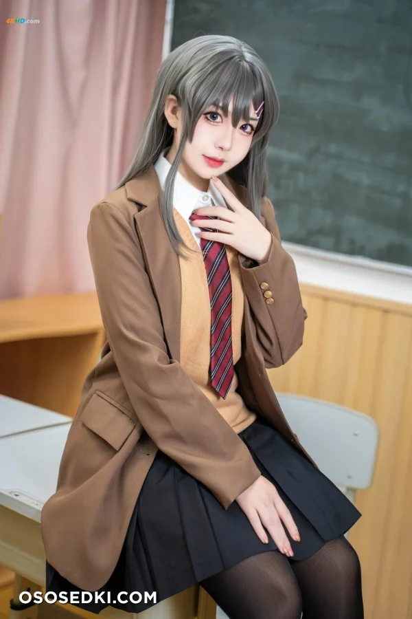 [虎森森] Sakurajima Mai - 3