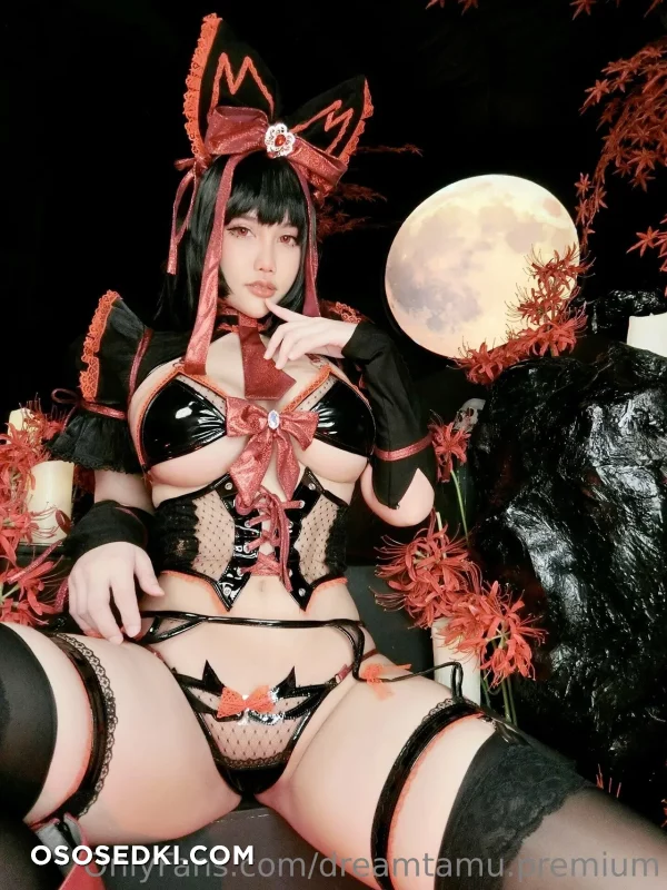 Dreamtamu - Rory Mercury - Gate - Jieitai Kano Chi Nite Kaku Tatakaeri - 2