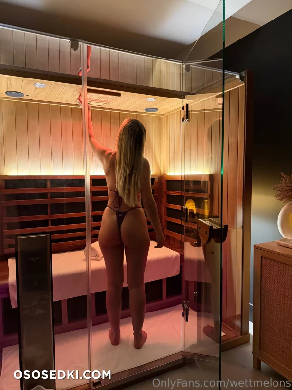 WettMelons - 1