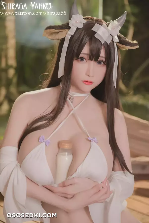 Shiraga Yanko - Kashino Azur Lane - 5