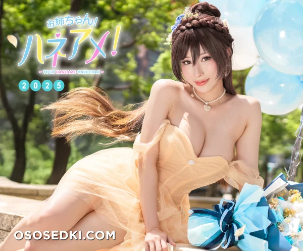 [HaneAme雨波] 2025生日礼服 - 1