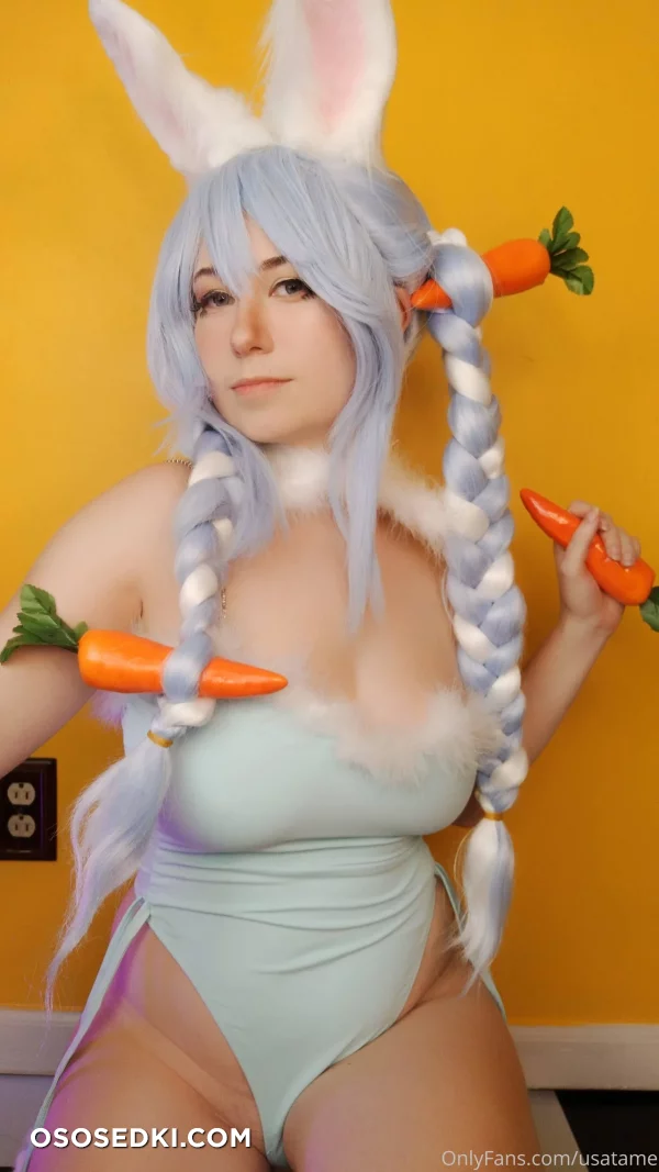 Usatame - Usada Pekora - Hololive - 1