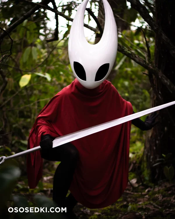 Adventure Juntos - Hornet - Hollow Knight - 2