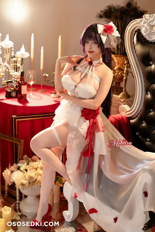 Tiny Asa - Mihara - Goddess Of Victory Nikke - 2