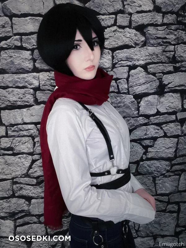 Emiigotchi - Mikasa Ackerman - Shingeki No Kyojin  Attack On Titan - 2