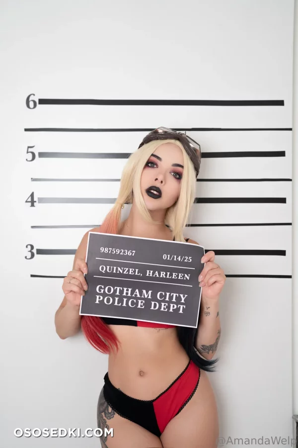 Amanda Welp  Ablizzard - Harley Quinn - Batman - 2