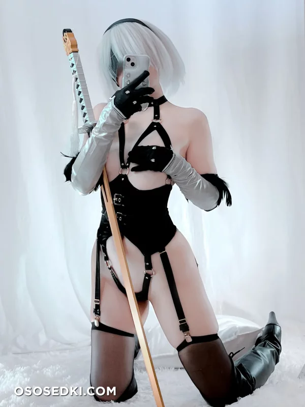 Ayame - 2b - Nier Automata - 1