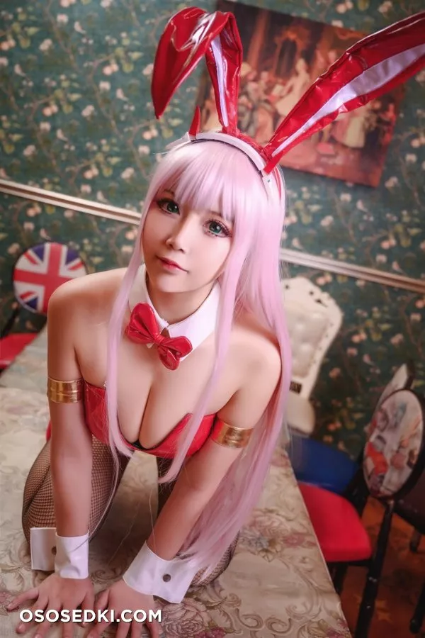 [抱走莫子][Cosplay][zero two]40P - 1