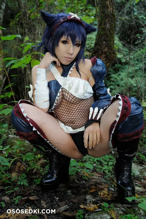 Nargacuga (Monster Hunter) - 1