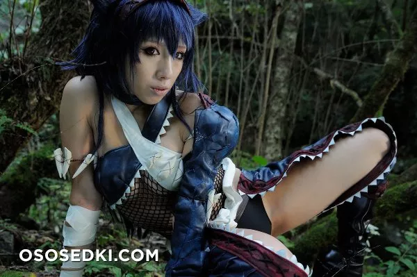 Nargacuga (Monster Hunter) - 2