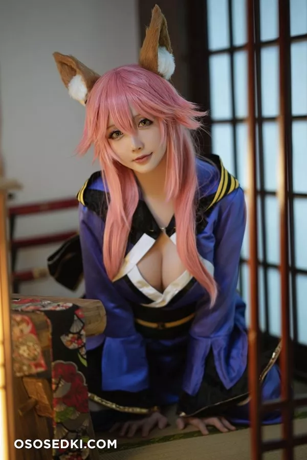 星之迟迟 - 玉藻前忠犬蓄势待发 - 4