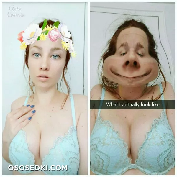 Clara Cosmia - 4
