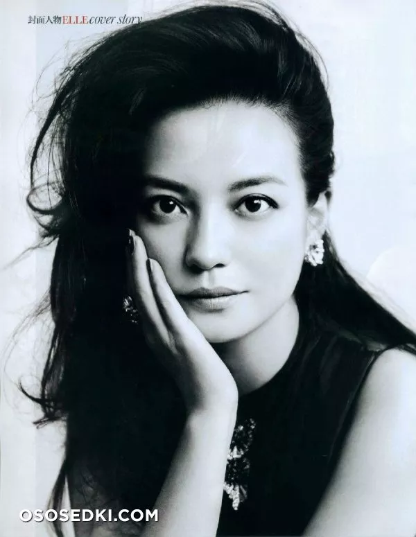 Vicki Zhao Wei (Актриса и певица) - 4