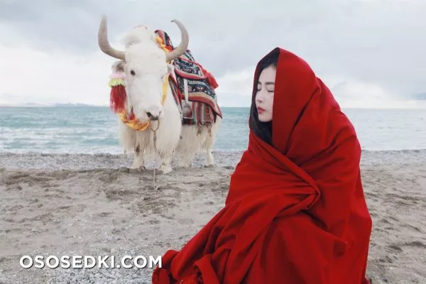 Zhang Xin Yuan_Чжан Синь Юан (Китай) - 2
