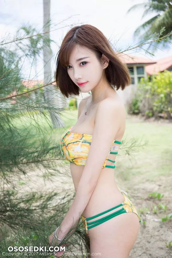 杨晨晨 - 4