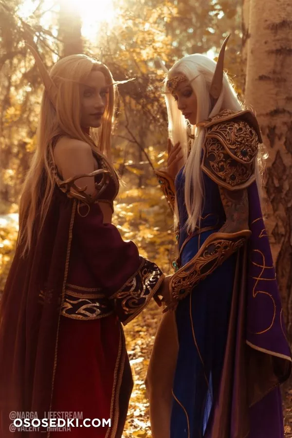High &amp; Blood Elfs - Warcraft - 2