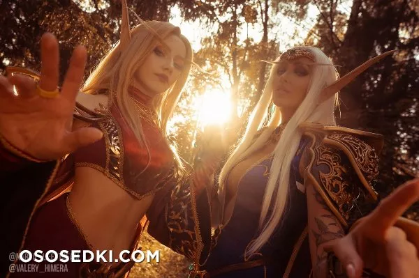 High &amp; Blood Elfs - Warcraft - 4
