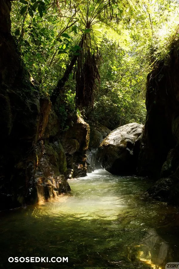 Ileana Burgos Amoeba Falls - 1