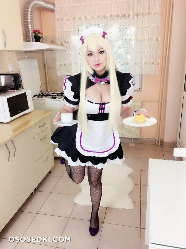 Hidori Rose. Coconut. Nekopara. Kitchen - 5